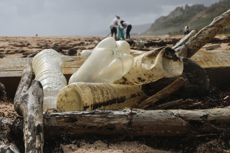 Meere ohne Plastik. Auch ein Naturschutzprojekt und Anliegen von Waterlifer Bekleidung.